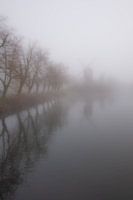 Nebel in der Mühle