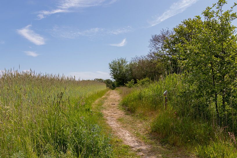 Groningen and Drenthe Veenkoloniën by Johan Mooibroek