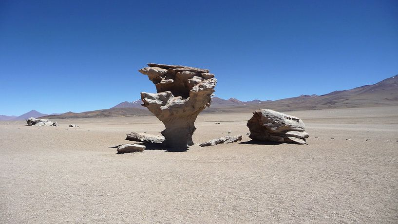 'Door de eeuwen', Bolivia van Martine Joanne