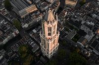 De Domtoren van Utrecht in het gouden ochtendlicht