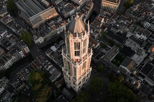 De Domtoren van Utrecht in het gouden ochtendlicht van Bas van Setten