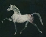 Pferd macht eine Dressurübung von Jan Keteleer Miniaturansicht