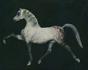 Pferd macht eine Dressurübung