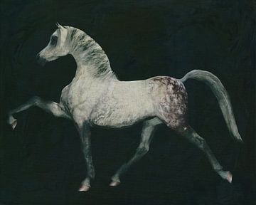 Pferd macht eine Dressurübung von Jan Keteleer