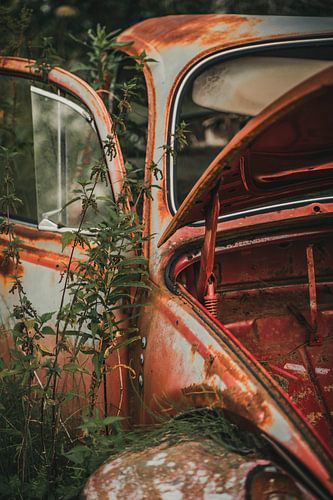 Het verlaten autokerkhof in Zweden (deel 3)