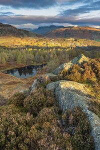 Holmefell Lake District