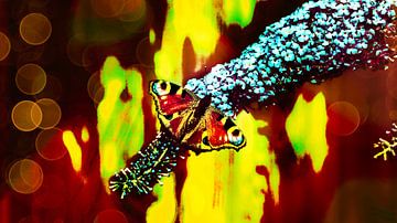 Kleurrijke dagpauwoog vlinder