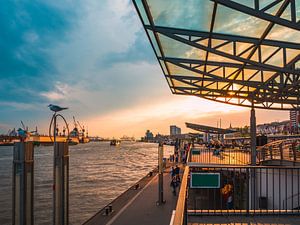 Sonnenuntergang in Hamburg von Mustafa Kurnaz