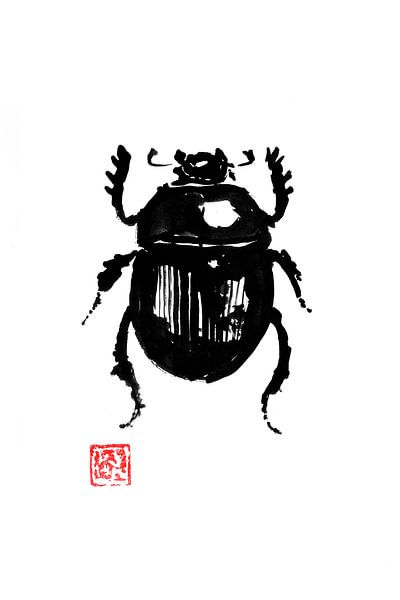 scarabee by Péchane Sumie