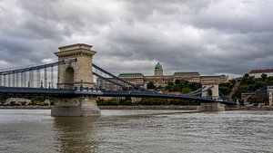 Die Kettenbrücke über der Donau in Budapest