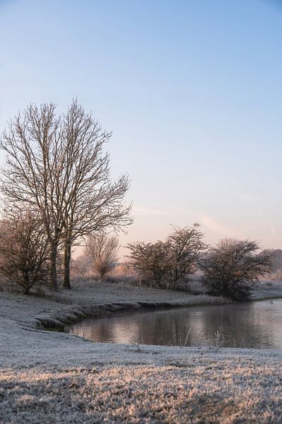 Meinerswijk part 83 by Tania Perneel