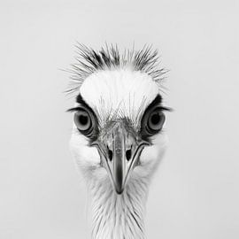 Kranich von Poster Art Shop