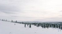 Schneelandschaft Finnisch-Lappland || Polarkreis, Finnland von Suzanne Spijkers Miniaturansicht
