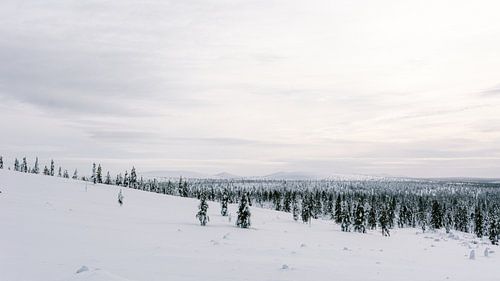 Schneelandschaft Finnisch-Lappland || Polarkreis, Finnland