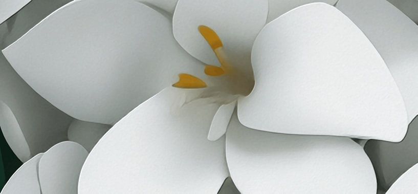 The Essence of Flowers by Mavro Orbino