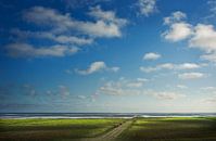 Grazende koeien in de kwelders, provincie Groningen,Nederland van Bo Scheeringa Photography thumbnail
