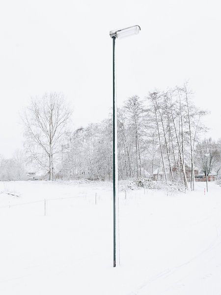 De eenzame sneeuwpaal, 2017 van Sander van der Veen