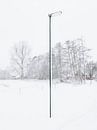 Die einsame Schneestange, 2017 von Sander van der Veen Miniaturansicht