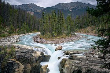 Suwapta watervallen in Canada - Jasper National Park van Michael Blankennagel