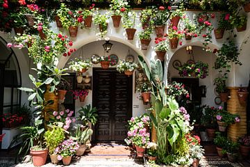 Festival de los Patios