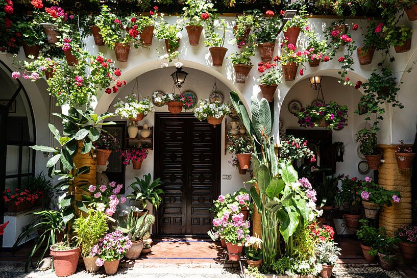 Festival de los Patios by Stefan Havadi-Nagy