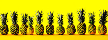 Pineapple Parade | dix étés d'affilée
