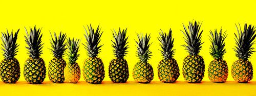 Pineapple Parade | ten summers in a row