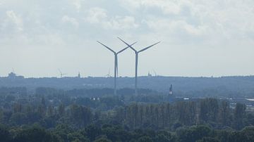 Windmills of Ede van Veluws