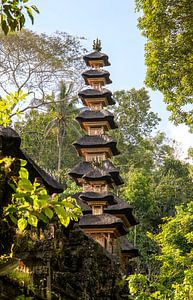 Tempel op Bali. van Floyd Angenent