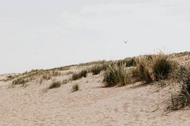 Uitwaaien van Elise van Gils