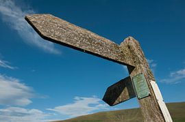 Unclear Footpath by Richard Wareham