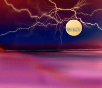 Moonlit night by the sea