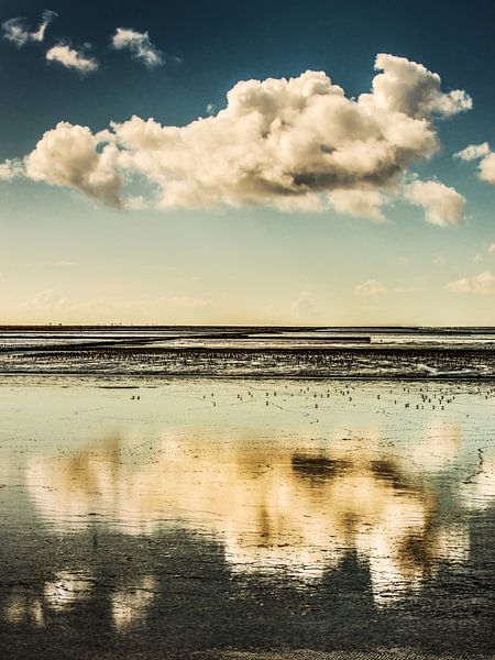 Waddenwolk par Harrie Muis