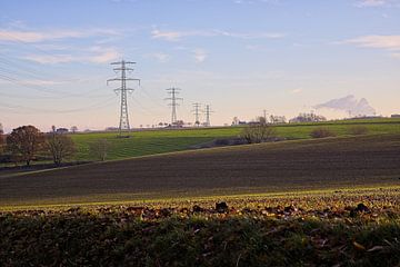 Ransdalerveld @ Colmont von Rob Boon