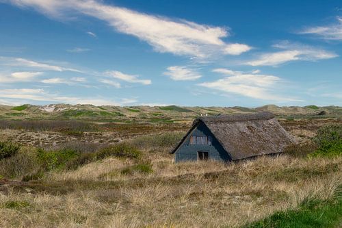 vervallen huis met rieten dak in de duinen