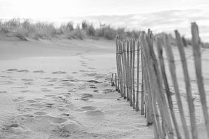 Clôture de plage aux dunes