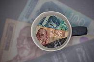 Munteenheid : Servische bankbiljetten van Michael Nägele thumbnail