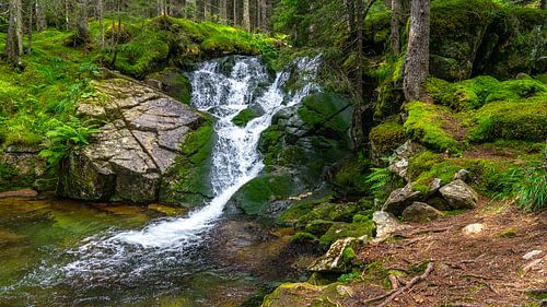 Waterval in Retezat Nationaal Park in Roemenië
