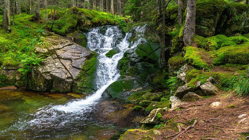 Waterfall in Retezat National Park in Romania by Jessica Lokker