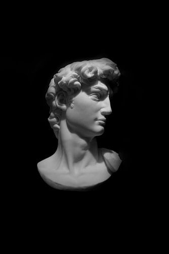 Michelangelo's David: An Iconic Masterpiece in Black and White
