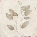 Plantlife II, Julia Purinton (gezien bij interieurtalent gezocht met vtwonen) van Wild Apple thumbnail