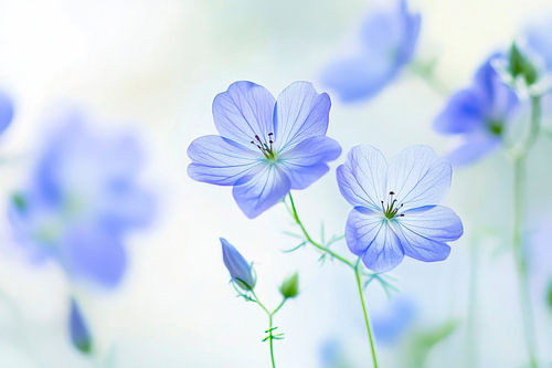 Blauwe bloemenpracht