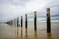 Strand mit Stangen von Sjoerd van der Wal Fotografie Miniaturansicht