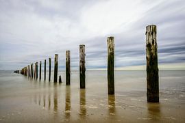Beach poles in the sea