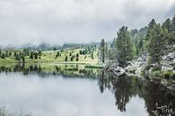 Mystical reflex of mother nature by Tina Linssen thumbnail