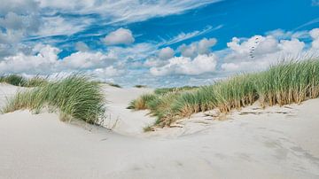 Hollandse kust met haar duinen van eric van der eijk