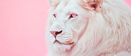 Weißer Löwe mit pinkem Hintergrund von Poster Art Shop