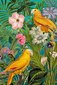 De terugkeer van de gouden papegaaien van christine b-b müller