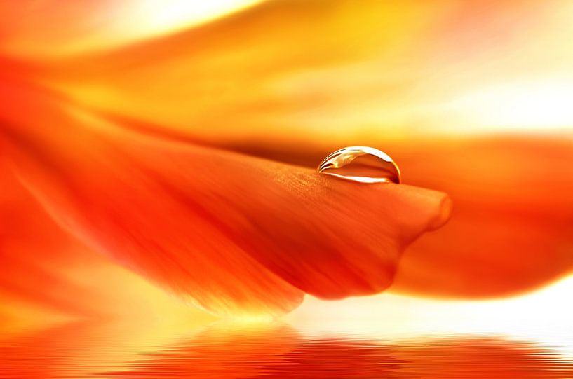 Water drop by Violetta Honkisz