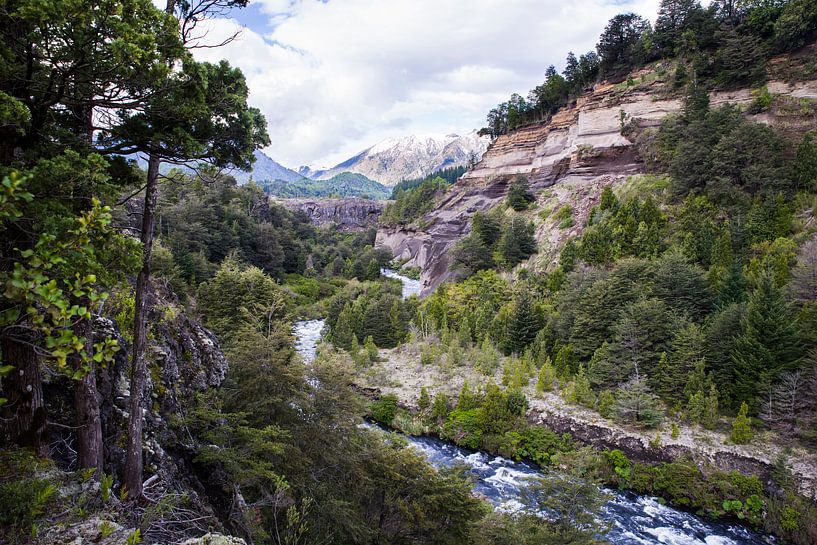 Parque Nacional Conguillio van Eriks Photoshop by Erik Heuver